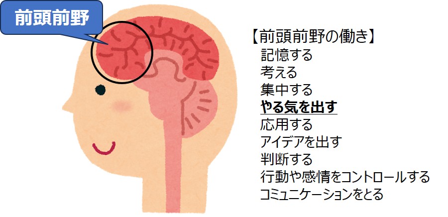 前頭前野の働きを示す図。 前頭前野は、記憶する、考える、集中する、やる気を出す、応用する、アイデアを出す、判断する、行動や感情をコントロール、コミュニケーションをとる、といった働きをしている。
